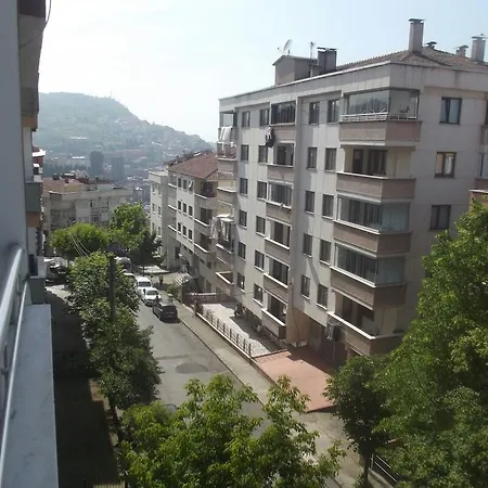 Apartment Elite In *